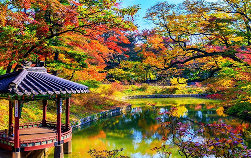 葉子醉紅了秋天 全球紅葉楓賞 一起踏上旅途 歡鬧絢爛韓國 長汎假期 長榮航空直營